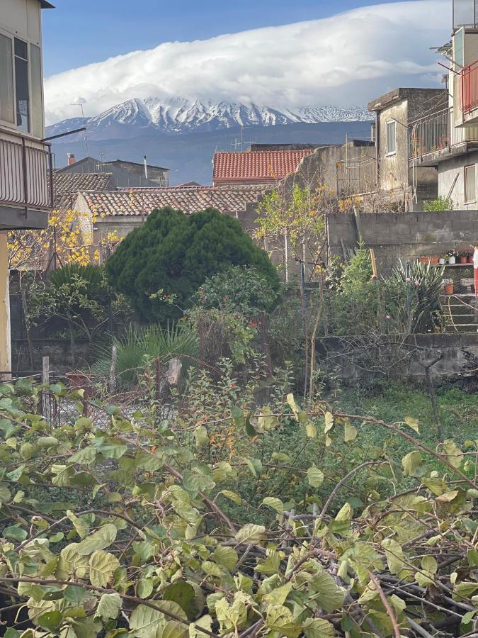 Etna Sunshine Apartments Linguaglossa Zewnętrze zdjęcie